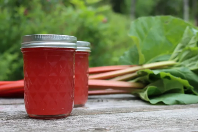 Canning Rhubarb Juice