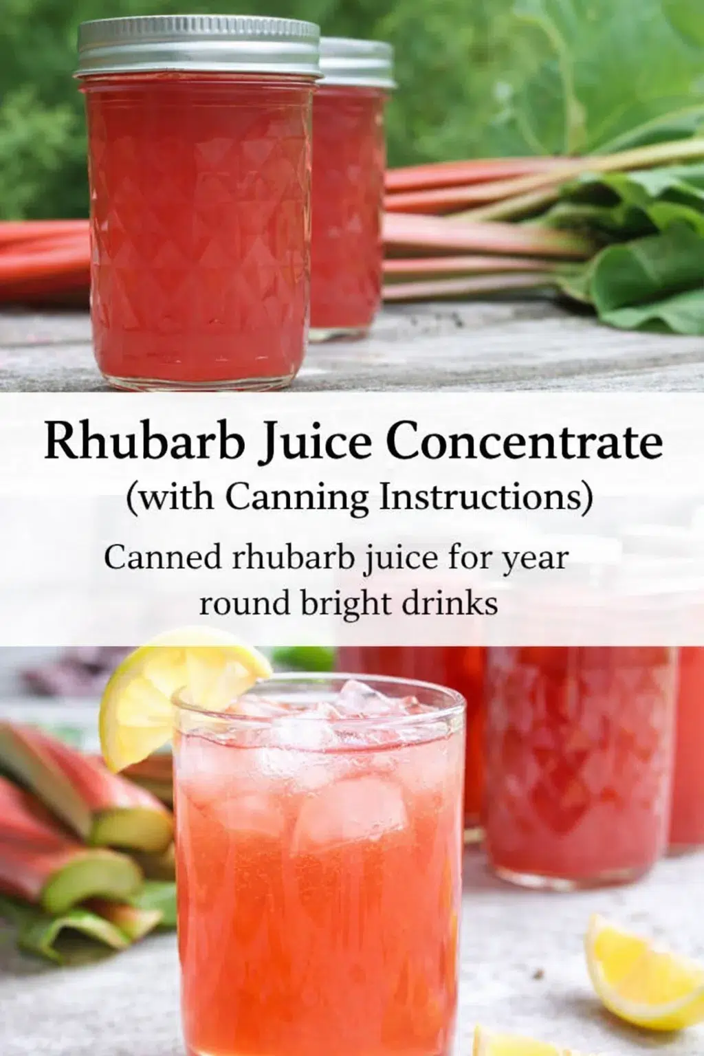 pre_faq_pinterest-placeholder.png Pinterest-style image for Rhubarb Juice Concentrate (with Canning Instructions) with centered text overlay