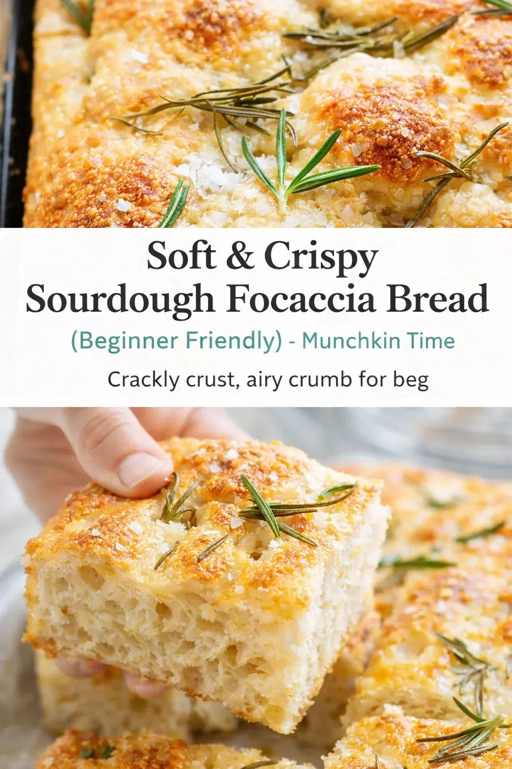 pre_faq_pinterest-placeholder.png Pinterest-style image for Soft & Crispy Sourdough Focaccia Bread (Beginner Friendly) - Munchkin Time with centered text overlay