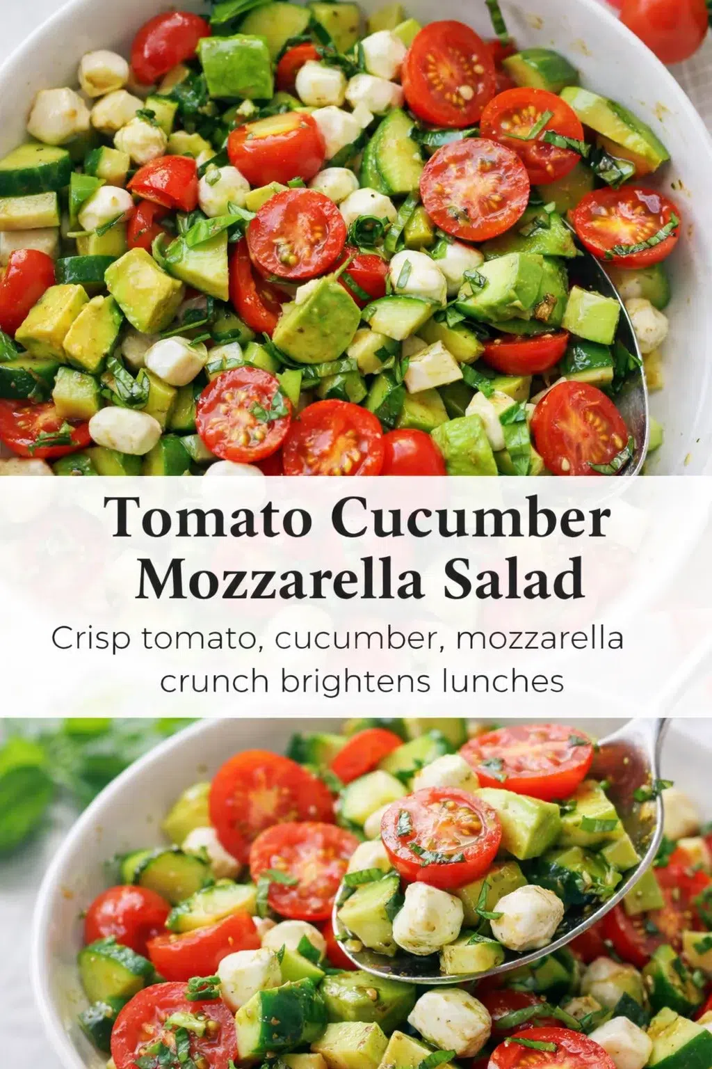 Pinterest-style image for Tomato Cucumber Mozzarella Salad with centered text overlay